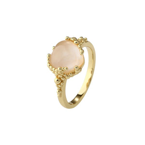 Aqua Dulce Ringar