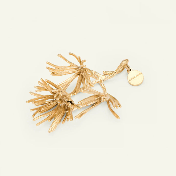 Flora Danica Grangren – 18 karat guldpläterad julprydnad – produktbild 2