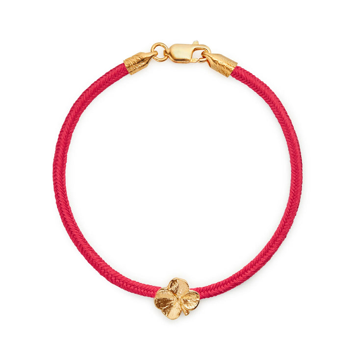 Flora Danica firkløver Silk Bracle Coral Red