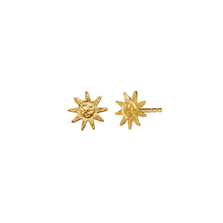 Moonesten June Gilded Sun Earpieces