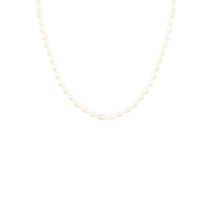 Vincent Venus Gilded Pearl Necklace