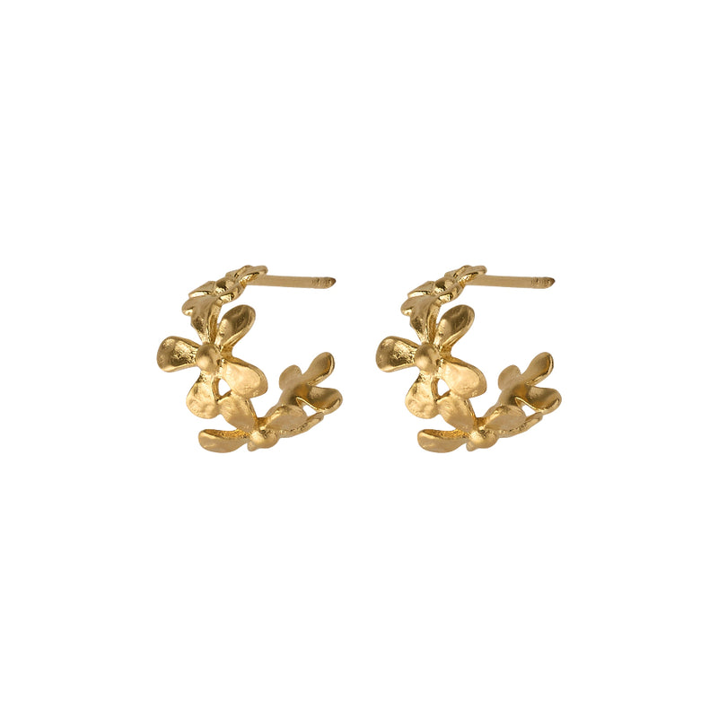 Pernille corydon Wild Poppy Hoops - Forgyldt