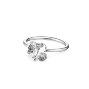 Silverringar 