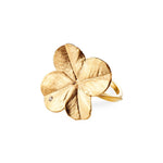 Forgyldte Ringe