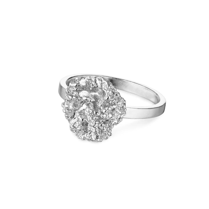 Flora Danica Persiljring Silver visar en detaljerad silverring med ett organiskt persiljamotiv, modell 907-par-ri-s-001-1.