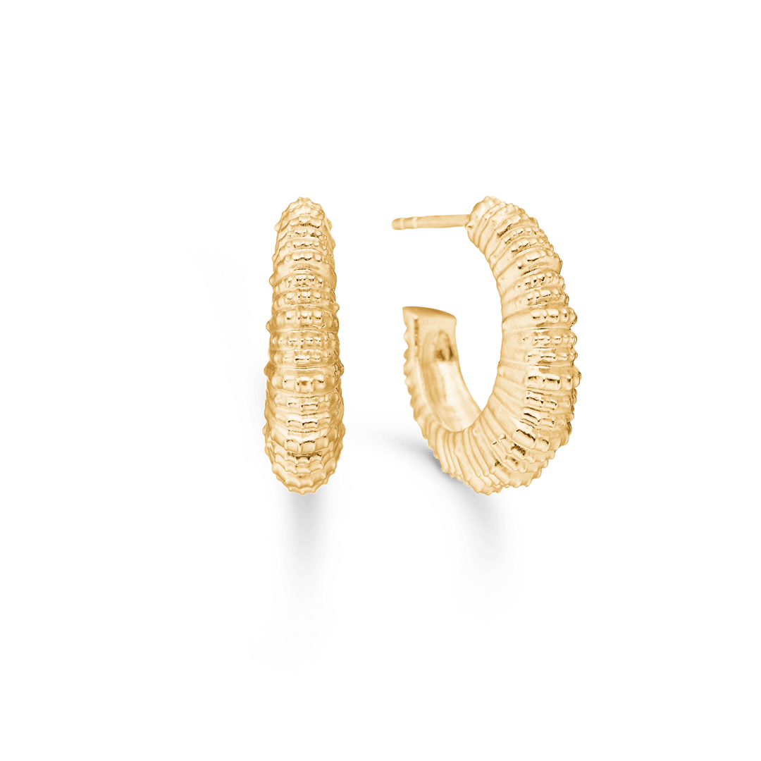 Studio Z Seashell Secrets guldpläterade örhängen i stor, rund modell med vågig yta. Modell 7210908