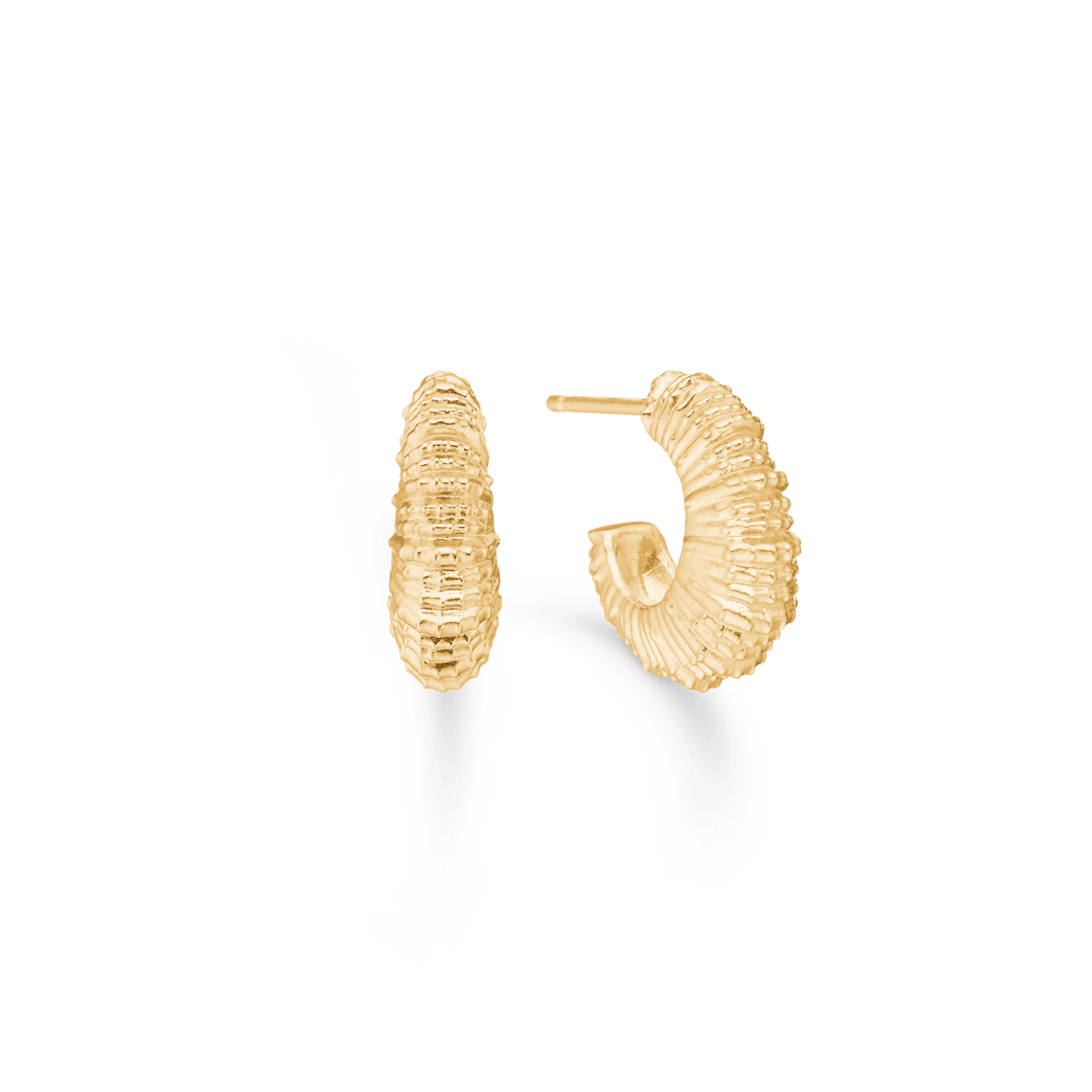 Studio Z Seashell Secrets guldpläterade örhängen i vågig snäckskalsdesign, modell 7210907-1.