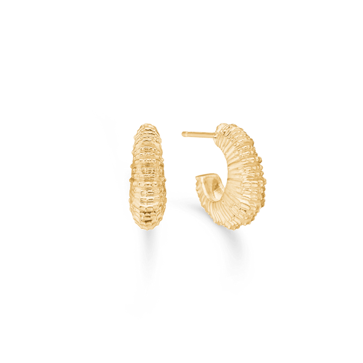 Studio Z Seashell Secrets guldpläterade örhängen i vågig snäckskalsdesign, modell 7210907-1.