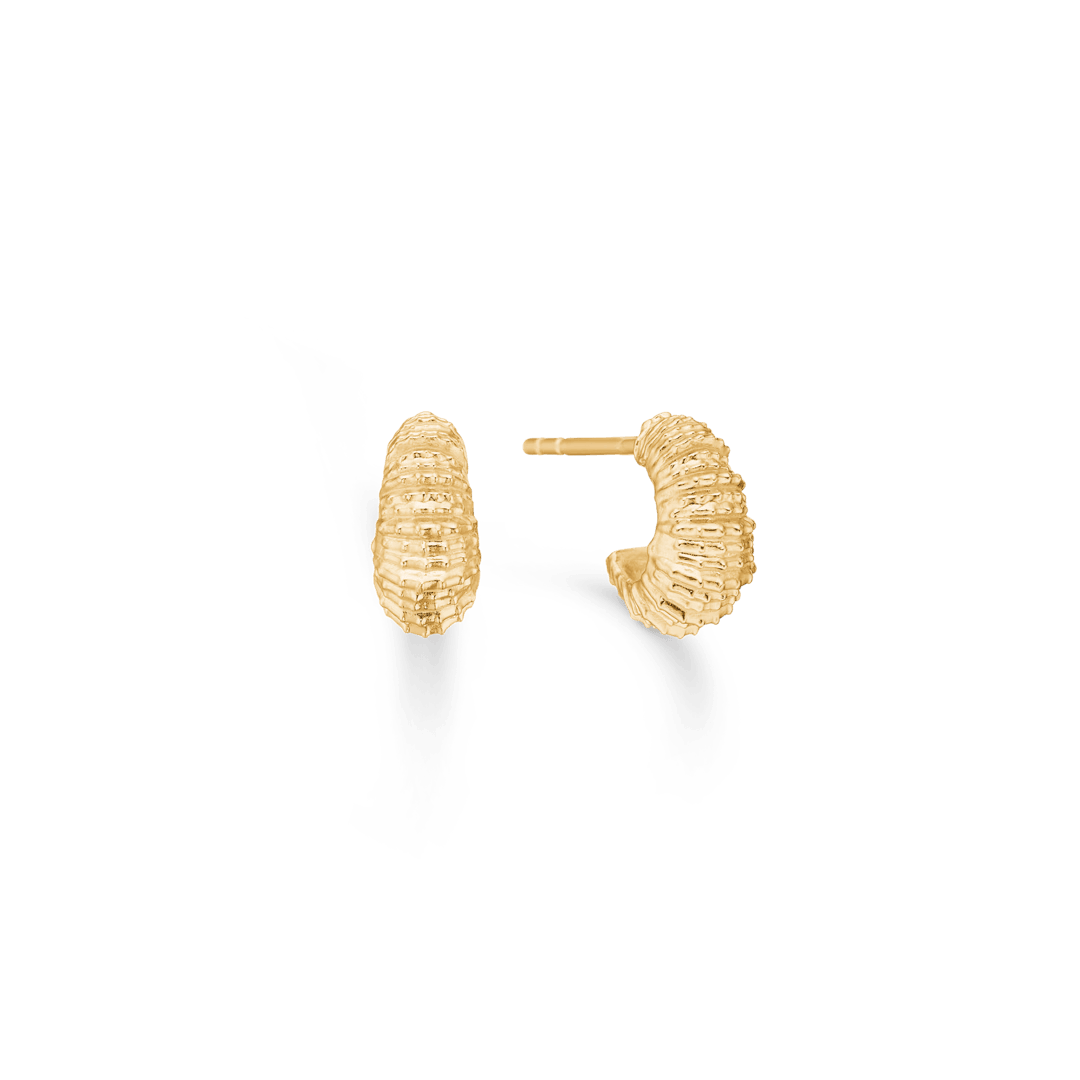 Studio Z Seashell Secrets Guldpläterade örhängen små, synliga i guld med en strukturerad yta. Modell 7210906-1