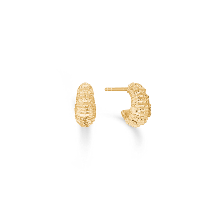 Studio Z Seashell Secrets Guldpläterade örhängen små, synliga i guld med en strukturerad yta. Modell 7210906-1