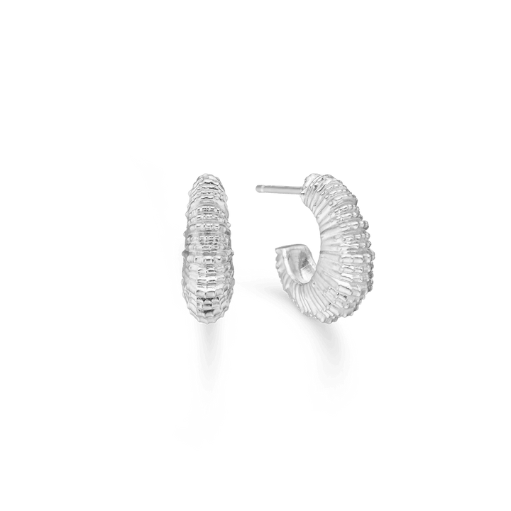 Studio Z Seashell Secrets silverörhängen medium med elegant räfflad skalstruktur, modell 7110907-1.