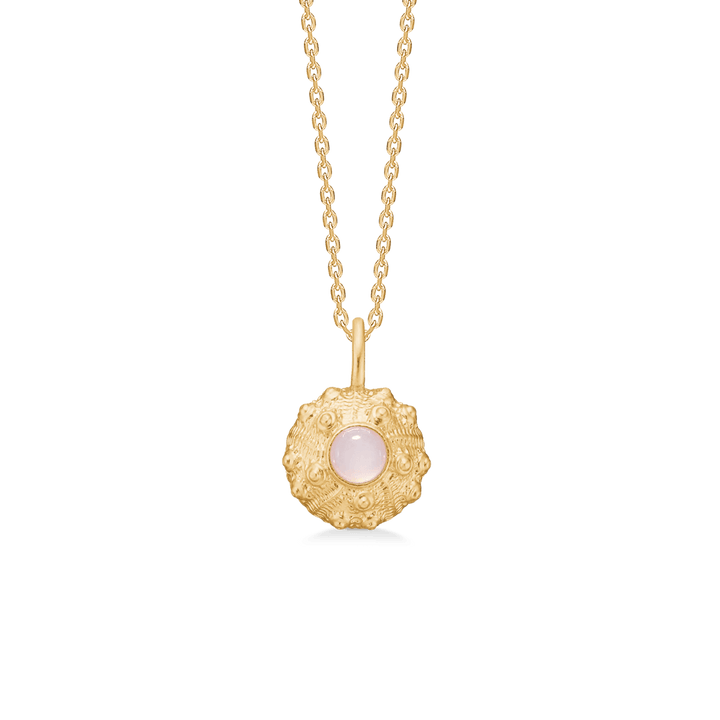 Studio Z Urchin Elegance Forgyldt Halskæde med Rosa Zirkonia - Halskæde - 7227919