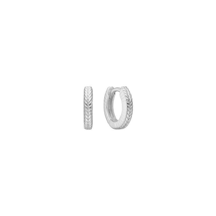 Carré Creol 10 mm - SH4400 - Øreringe - SH4400-1CM