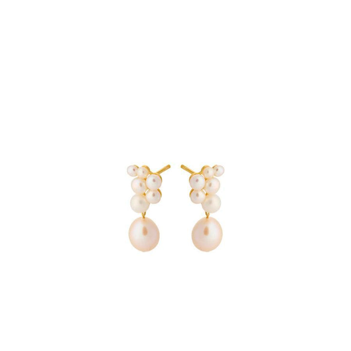 Pernille Corydon Ocean Treasure Earstick - E-445-GP - Øreringe - E-445-GP