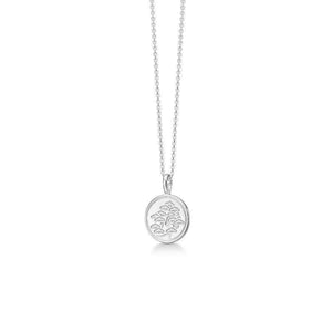 Polära smycken halsband